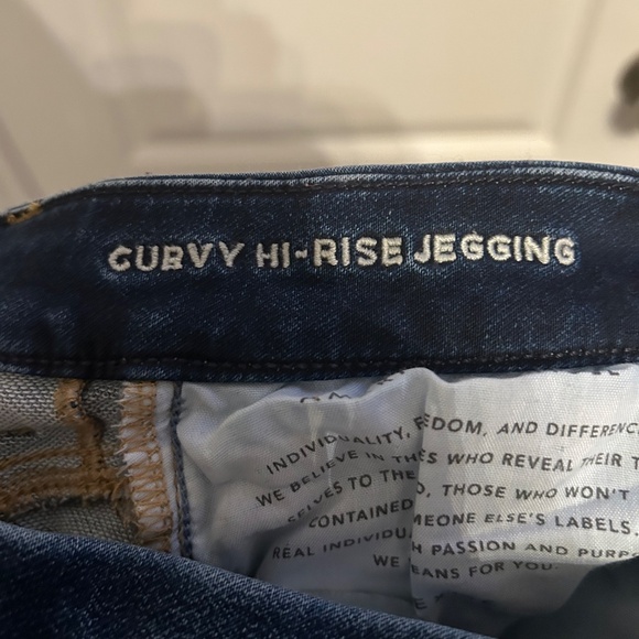 Women’s American Eagle Curvy Hi Rise Jegging - Picture 3 of 4